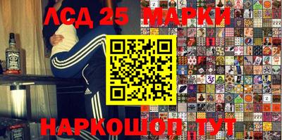 индика Ефремов