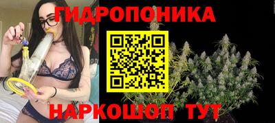 индика Ефремов