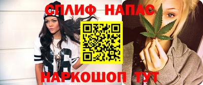 индика Ефремов