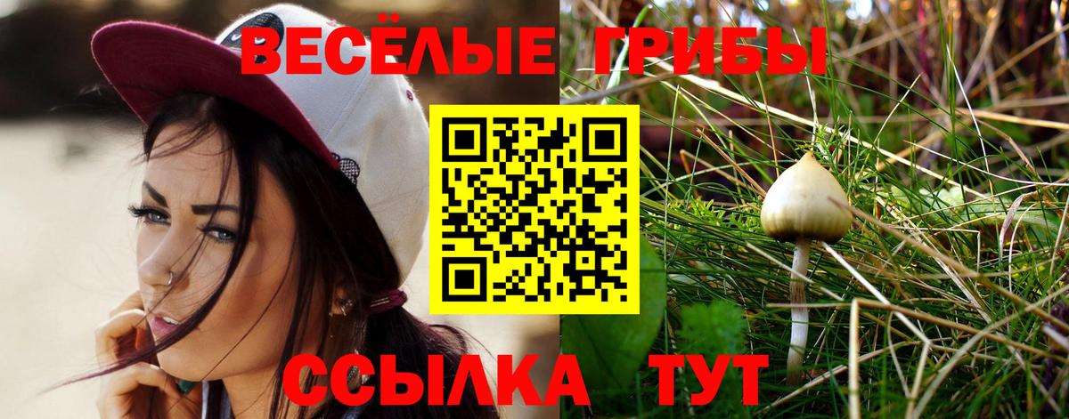 Псилоцибиновые грибы MAGIC MUSHROOMS  Вход с VPN  Галлюциногенные грибы Cubensis  Кубинка 