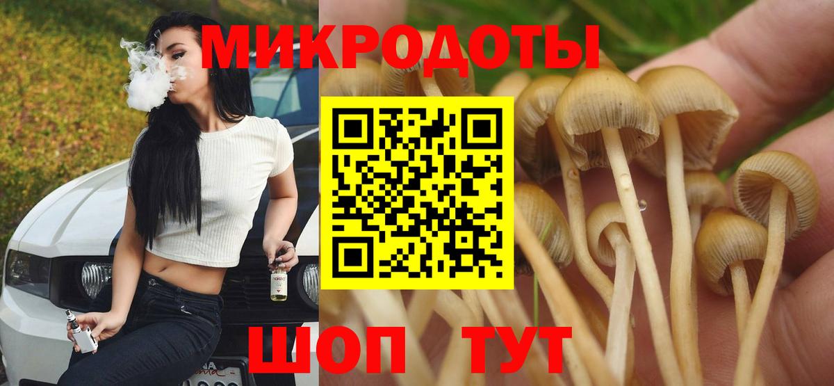 Псилоцибиновые грибы Cubensis Кубинка